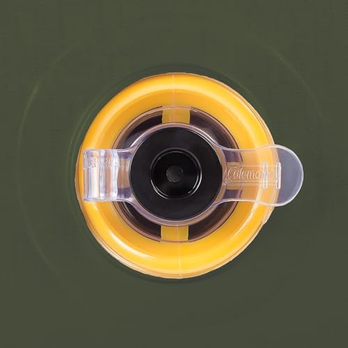 Twin Perfect - Coleman EasyStay Plus Air Mattress - ComfortStrong coils AirTight system Perfect Twin Sleep