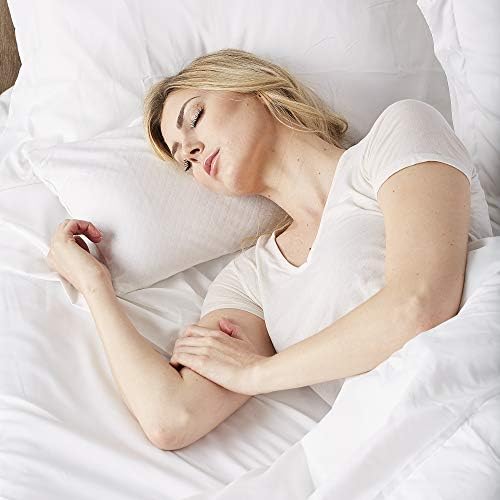 Bucky 100 buckwheat pillow travel-friendly natural comfort