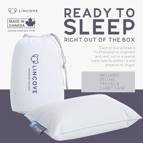 Lincove Travel Pillow