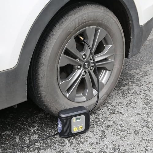 Versatile 12V Air Pump with Built-In LED Light